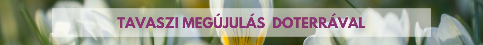 tavaszi megujulas