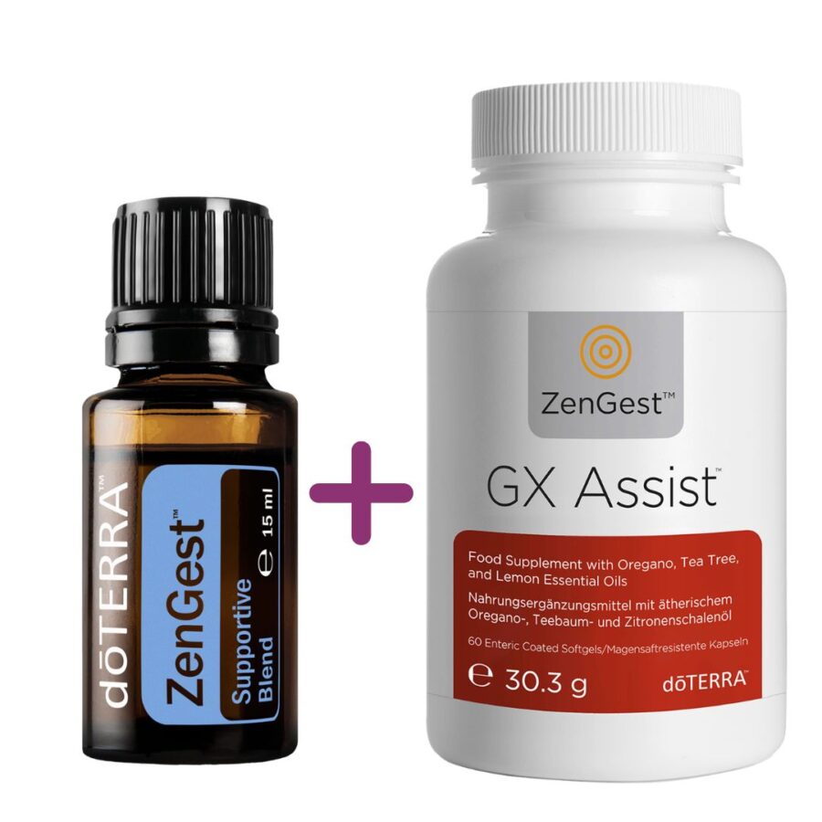 Zengest és GX Assist